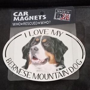 I love my Bernese mountain dog car magnet